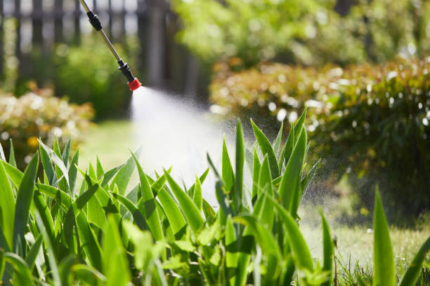 24/7 Emergency Wasp Removal experts in Trinity, TX