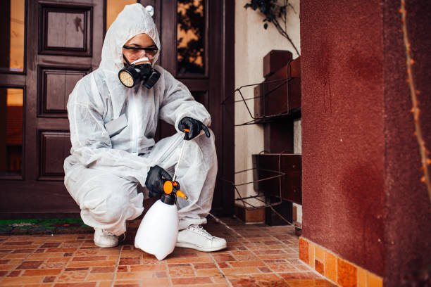 Reliable Wasp Removal contractor in Trinity, TX by Show Me Pest Control